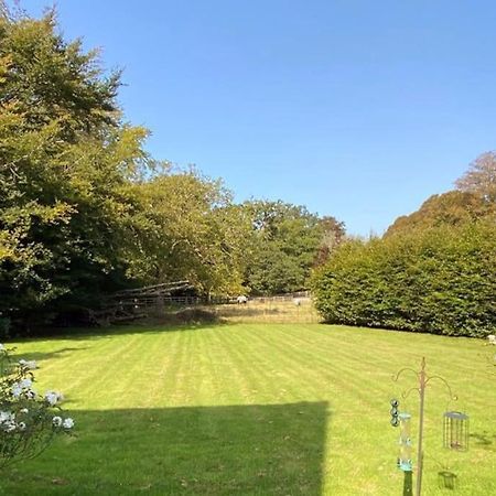 The Dower House At Parnham Park Villa Beaminster Luaran gambar